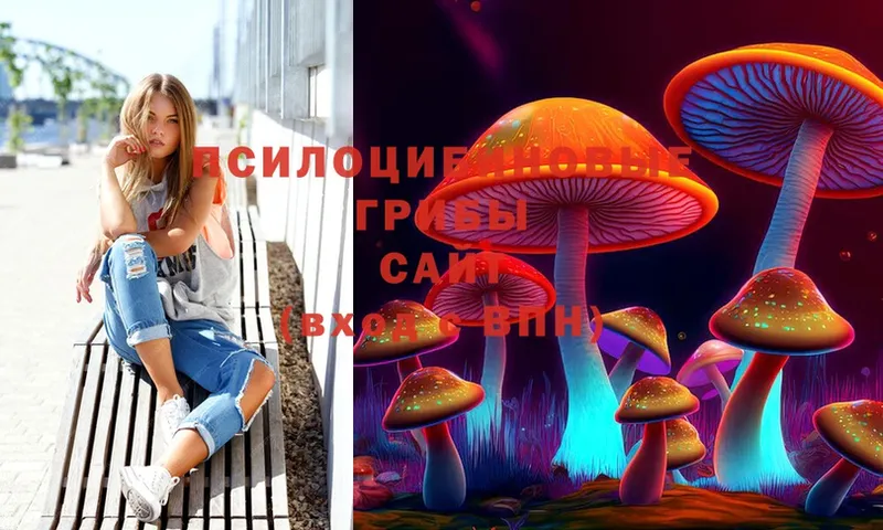 наркота  Великий Новгород  гидра зеркало  Галлюциногенные грибы MAGIC MUSHROOMS 